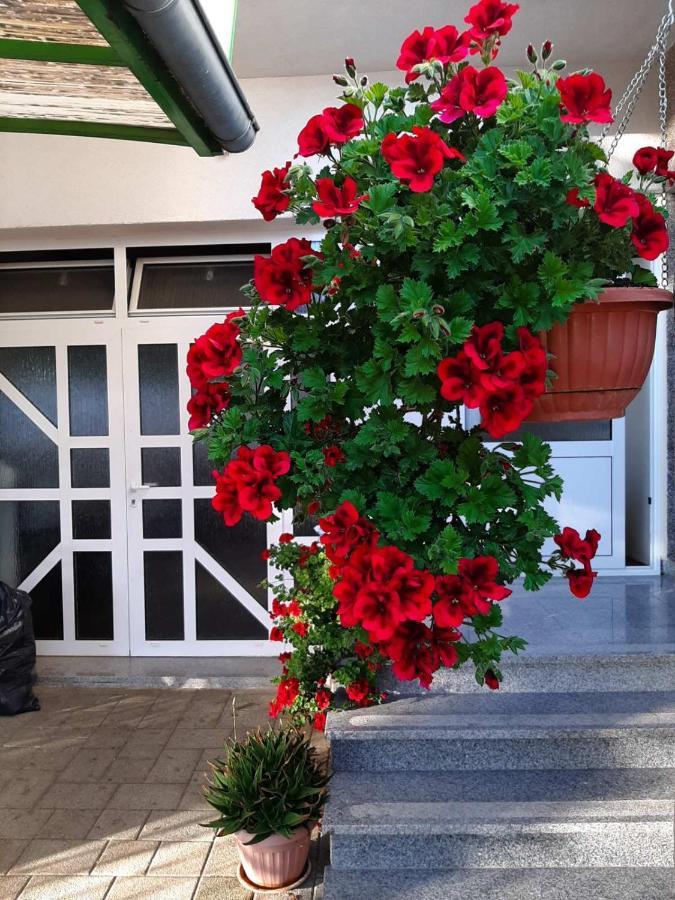 Apartment Bracic Vodice Zewnętrze zdjęcie
